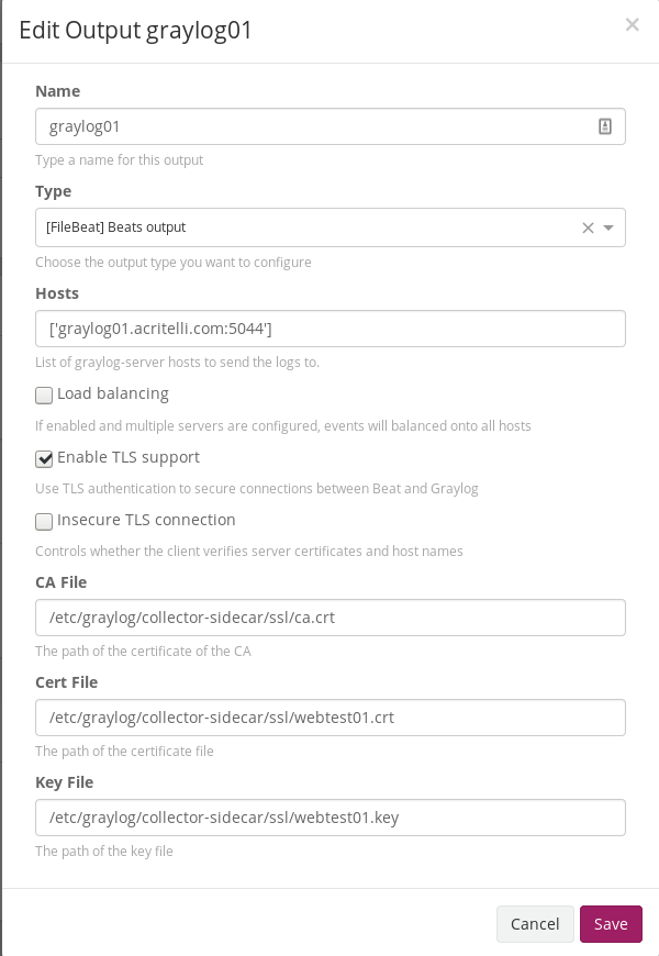 Graylog Filebeat Output